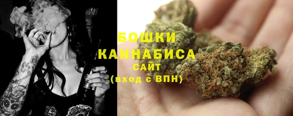 молекула духа Волоколамск