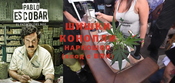 молекула духа Волоколамск