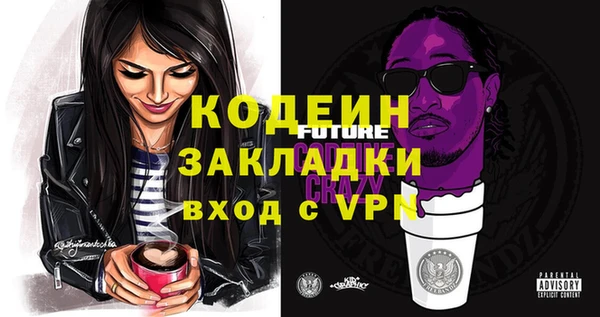 молекула духа Волоколамск