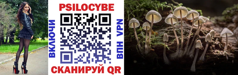 Купить где  Черкесск  Галлюциногенные грибы GOLDEN TEACHER 
